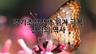 경기조절정책: 위기 극복 전략의 역사